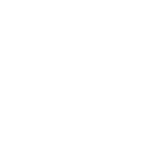 Audi Service Logo