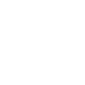 Skoda Service Logo