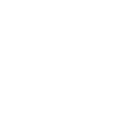 Logo SEAT Service